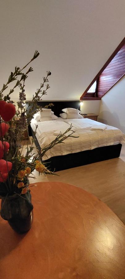 Bed and Breakfast Forras Fogado à Bükkszék Extérieur photo