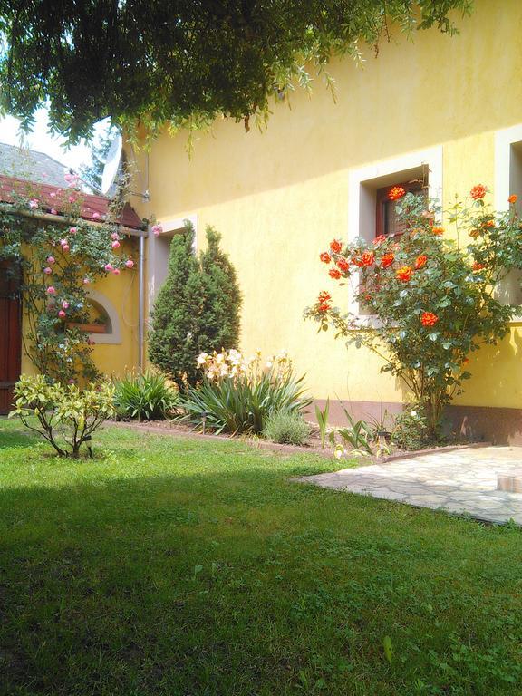 Bed and Breakfast Forras Fogado à Bükkszék Extérieur photo